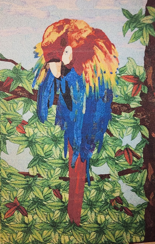 Macaw by Andrea Val Voorhis